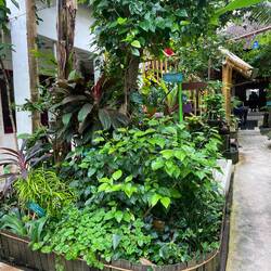 Eco resort