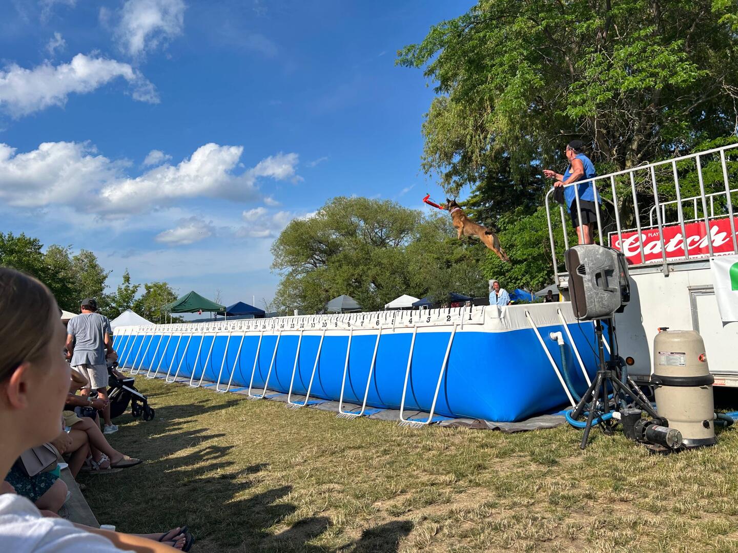 The dog streaks down the runway and leaps. Person throws the 'thing'. Dog must catch before splash.