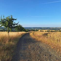 Feldweg nach Oelsnitz