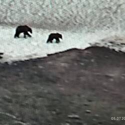 Auf dem Hinweg haben sie auf dem Eisfeld geschlafen, auf dem Rückweg ein bisschen rumgetollt 🥰