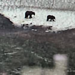 Mutter und Junges, 3 bis 4 Jahre können sie bei der Mutter bleiben