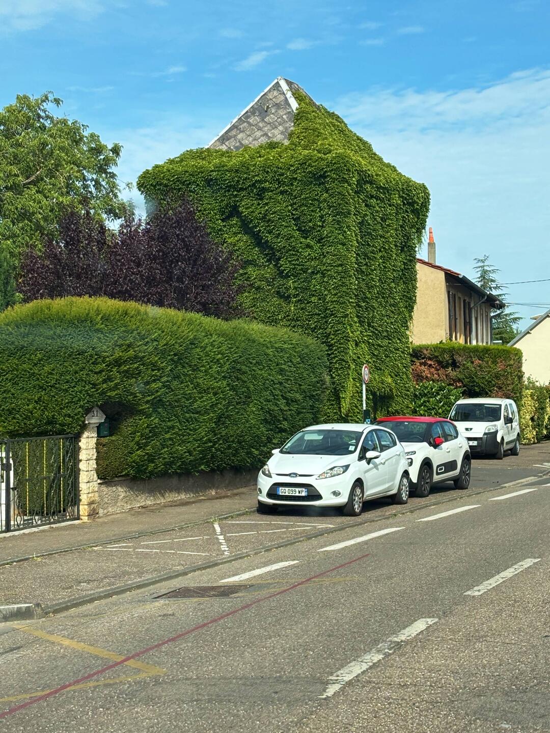 A building being consumed by the creeper