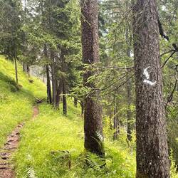 Schöner Weg am Hang