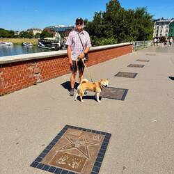 Walk of Fame und wir kennen sogar einige.