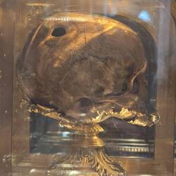 Schädel von Bischof St.Aubert, dem Erbauer von St.Michel