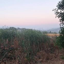 Love the early morning vista
