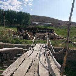 Mein Besuch beim Sägewerk