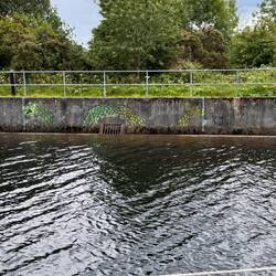 We spotted Nessie!
