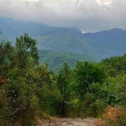 De paden martelen de voeten van de pelgrims.