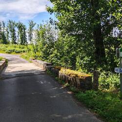 Nach dem Überqueren des Steinbachs kommt man ins Hohe Venn