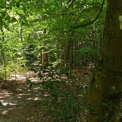 Unspektakulärer Grenzstein: Links Belgien, rechts Deutschland