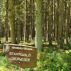 Belgischer Wald ähnelt doch sehr dem deutschen Wald 😄.