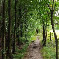 Schöne Naturpfade ...