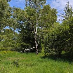 Dennoch eine schöne Landschaft rechts und links vom Weg!