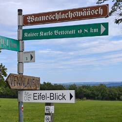 Kleiner Umweg zum "Eifel-Blick".