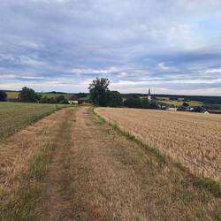 Runter nach Pilgramsreuth