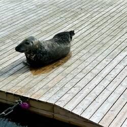 Und er ist auch neugierig.