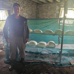 Hier gabs frischen Schafskäse zum probieren, war sehr gut!