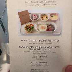 Menu for my meal on JL8786.