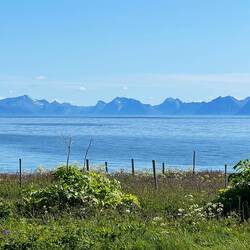 Blick von Andoya auf den Andfjord