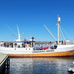 Unser Boot für das Whale-Watching