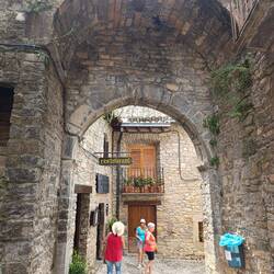 Portal de Abajo 🌳