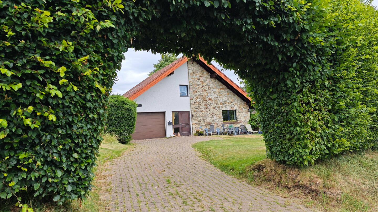 Typische Buchenhecke als Windschutz ... bei Mützenich.