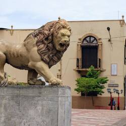 One of the cathedral's lions.