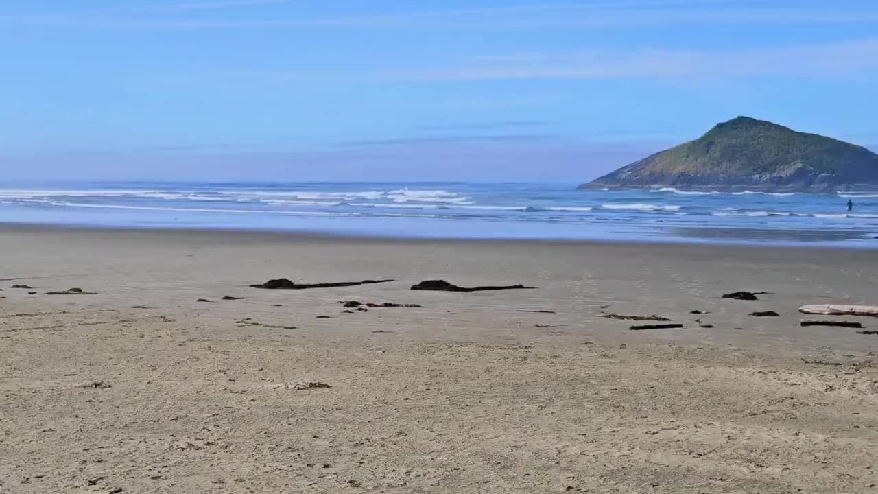 Surfers on Long Beach