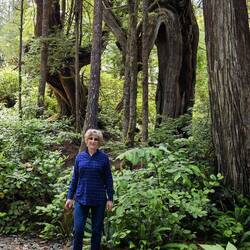 Twisty trees behind me