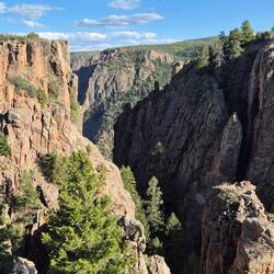 Die Bäume im Canyon leiden definitiv nicht unter Höhenangst