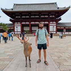 Hanging with the deers 😎