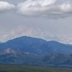 Und da ist er im Hintergrund zu sehen, der Denali 🤩