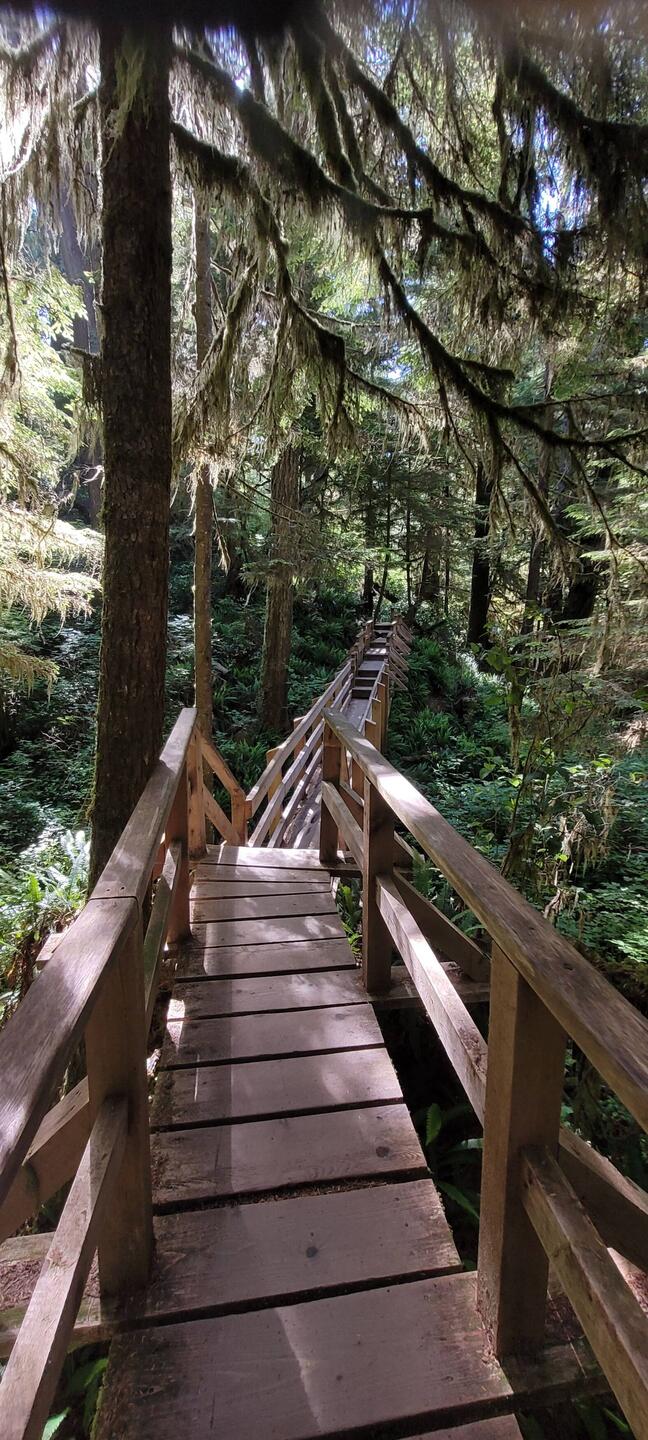 Kleine Wanderung im Regenwald