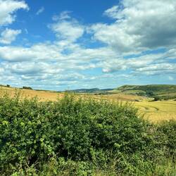 Ein bisschen Landschaft