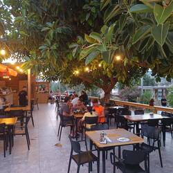 Biergarten unter Gummibäumen