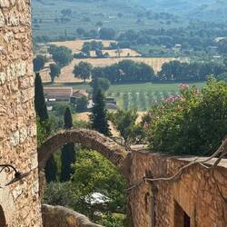 Arch #8 - looking east from Spello