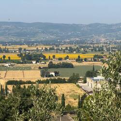 Fields of sunflowers. Pretty sure that's a hot air balloon in the distance