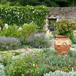 Hestercombe Gardens (Gertrude Jekyll)
