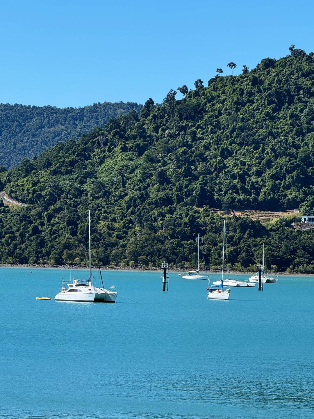 Am Hafen von Airlie Beach🤩