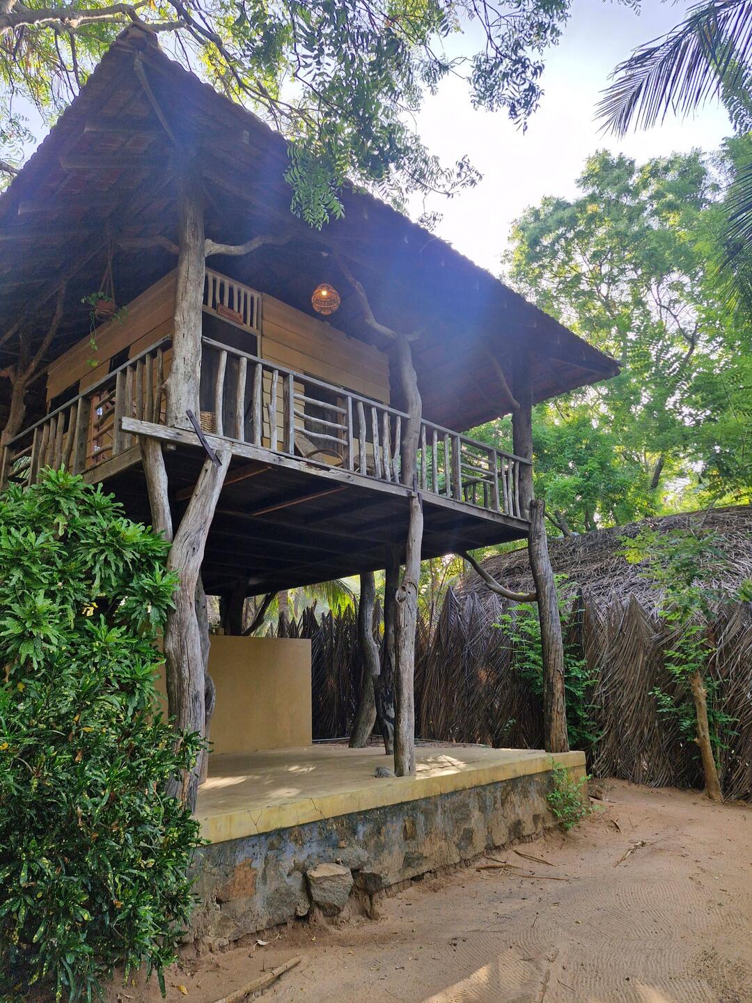 Cool tree huts, very basic bit all one needs for a good time