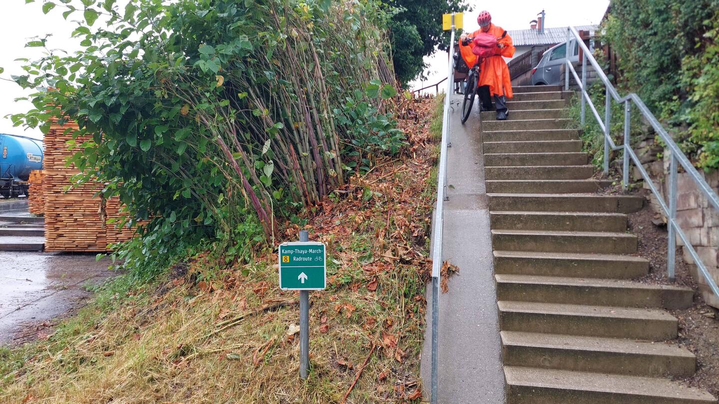 Bei uns gibt es kein schlechtes Wetter