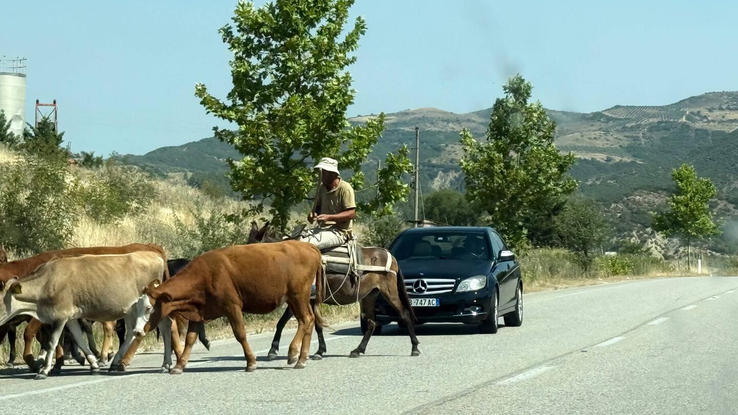 Encuentros casuales en el camino