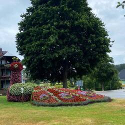 Spart nit mit Kunstwerken ein Pfau