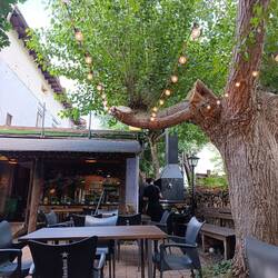 Hier kann man dem Koch bei der Outdoor-Arbeit zuschauen 😃