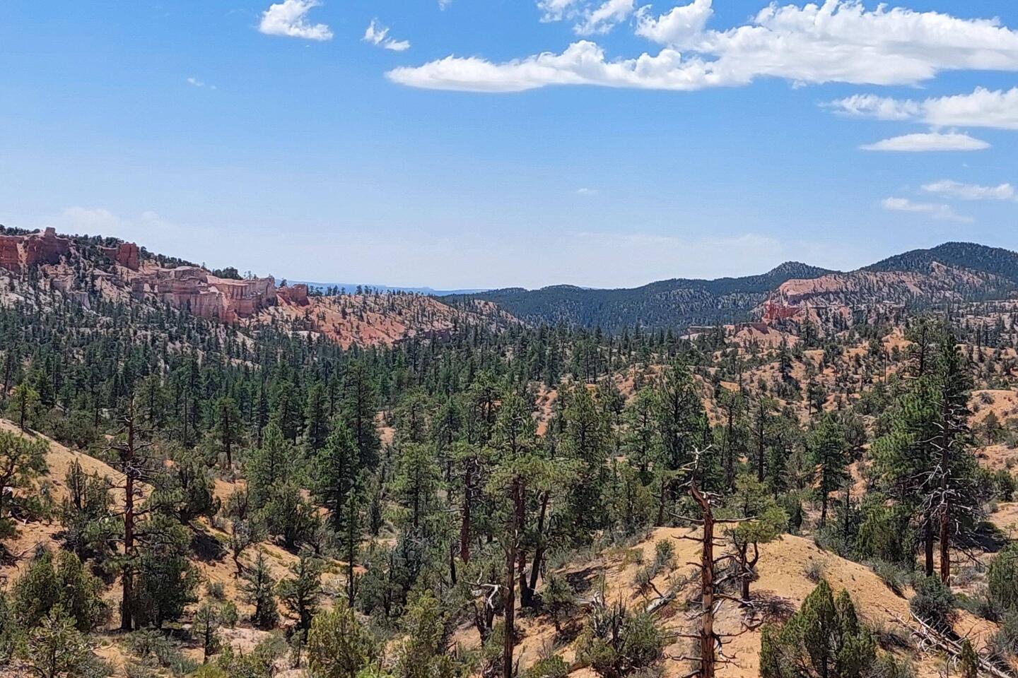 Letzter Blick zurück in den Bryce Canyon