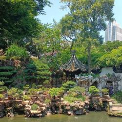 Et c'est parti pour Yuyuan Garden