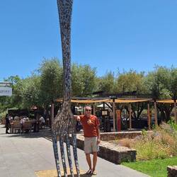 Ich habe gerade gegessen