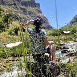 What am I looking for?