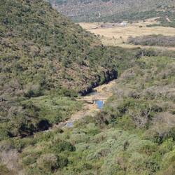 ... Bäume sind wieder zu sehen...